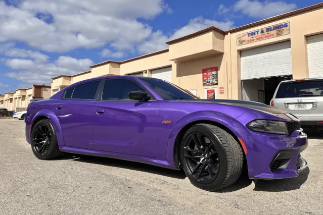 Allstate Window Tint & Blinds